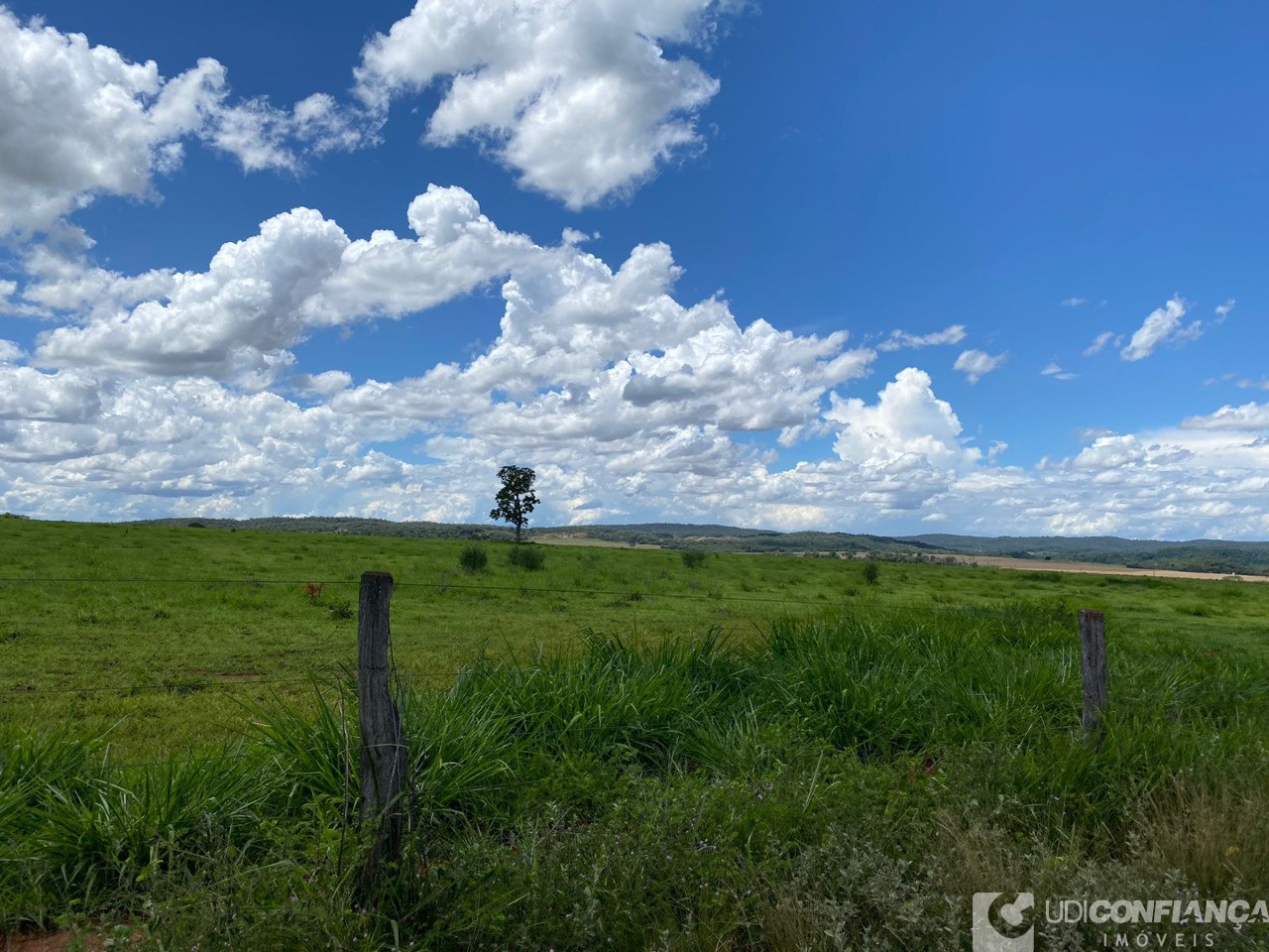 Fazenda - Foto 3