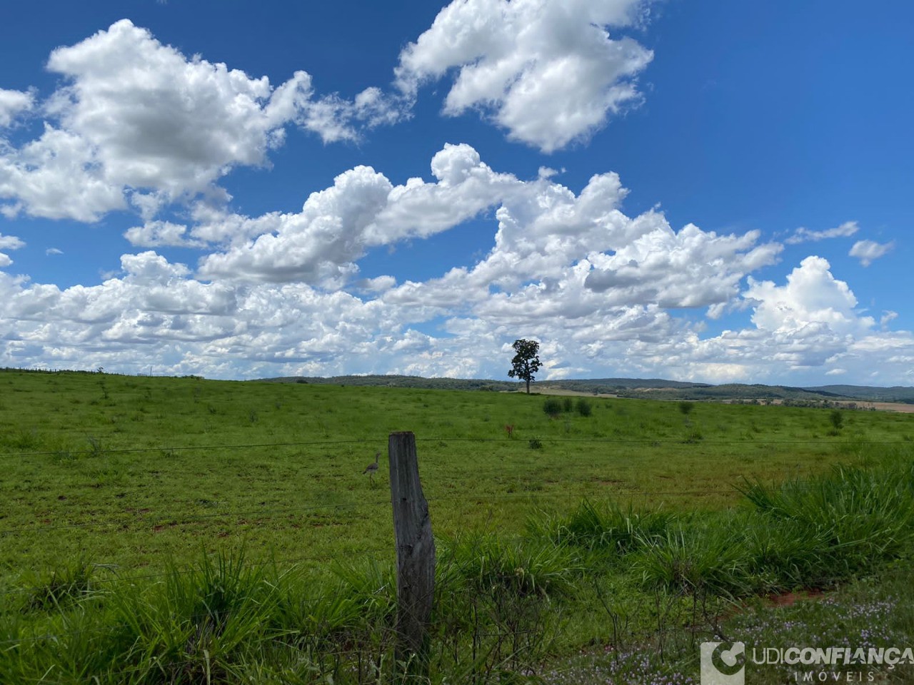 Fazenda - Foto 5