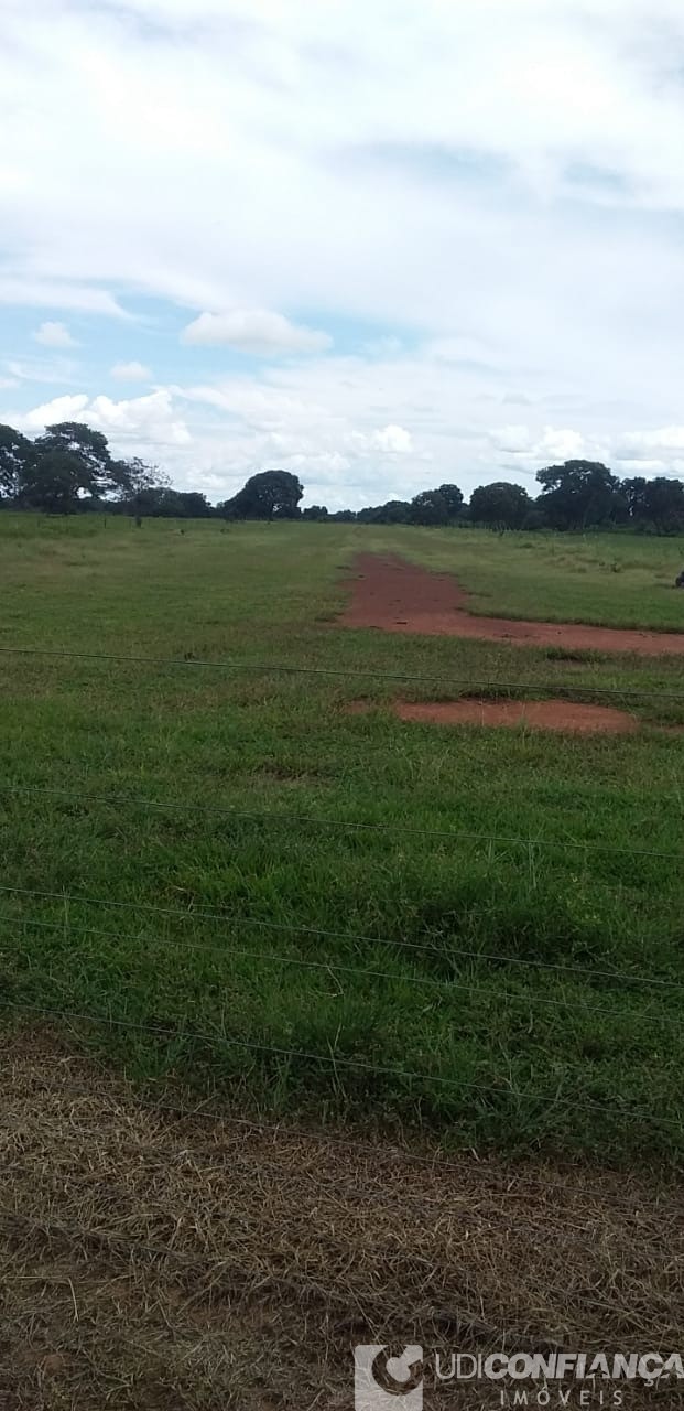Fazenda - Foto 20