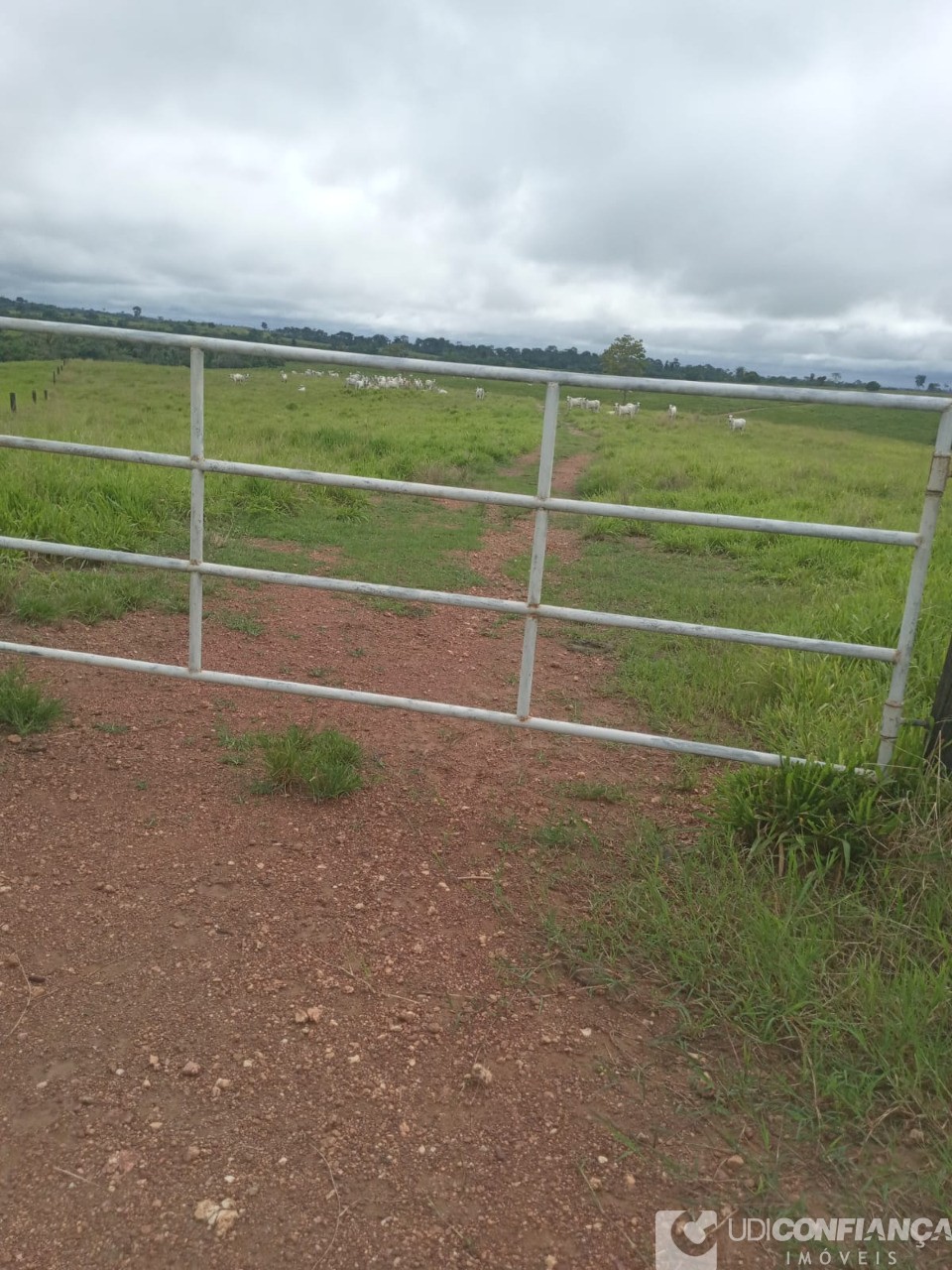 Fazenda - Foto 15