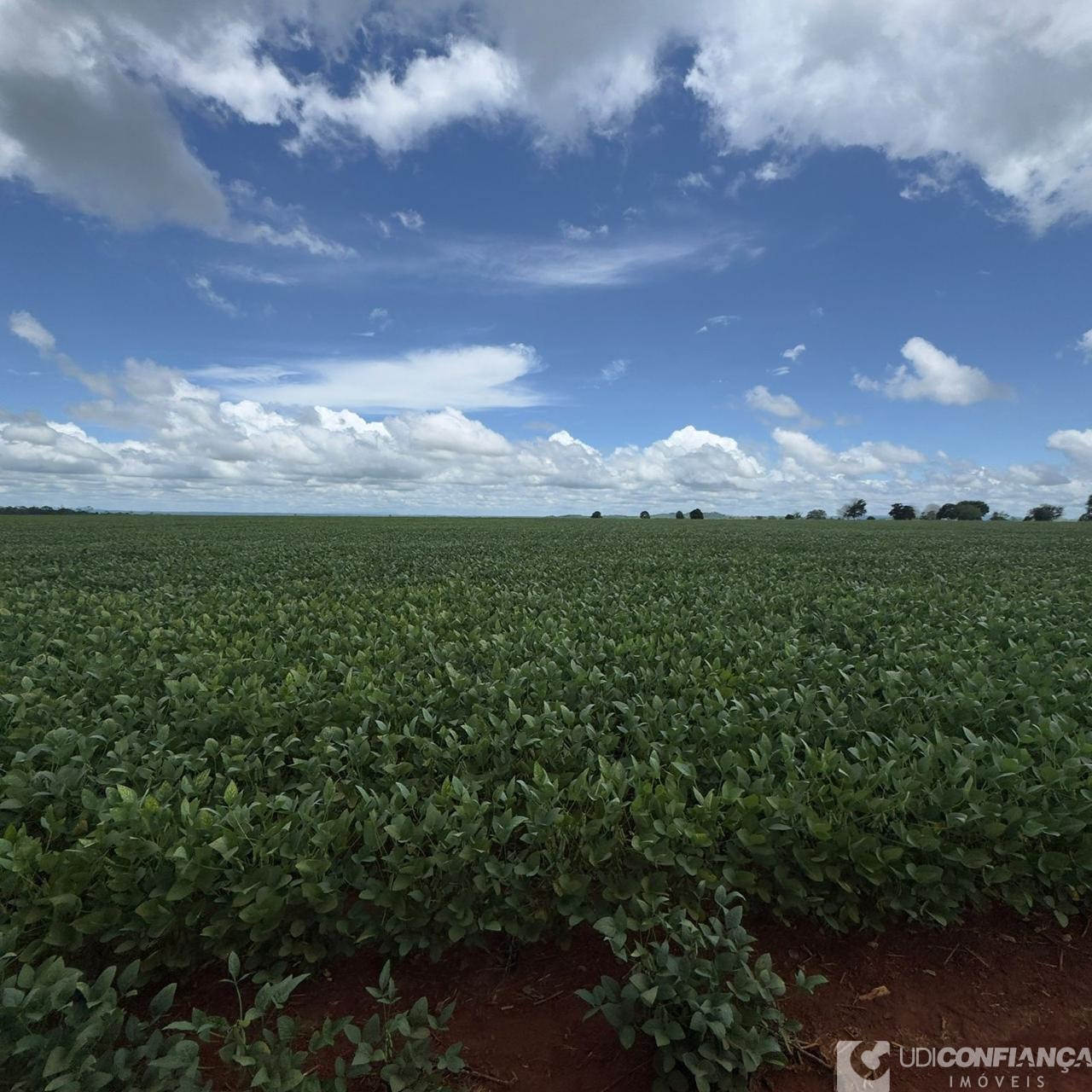 Fazenda - Foto 10