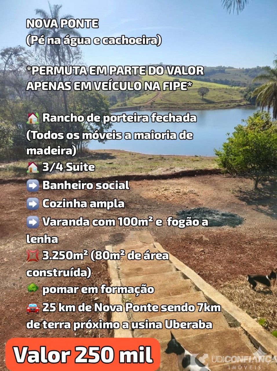 Sítio - Foto 3