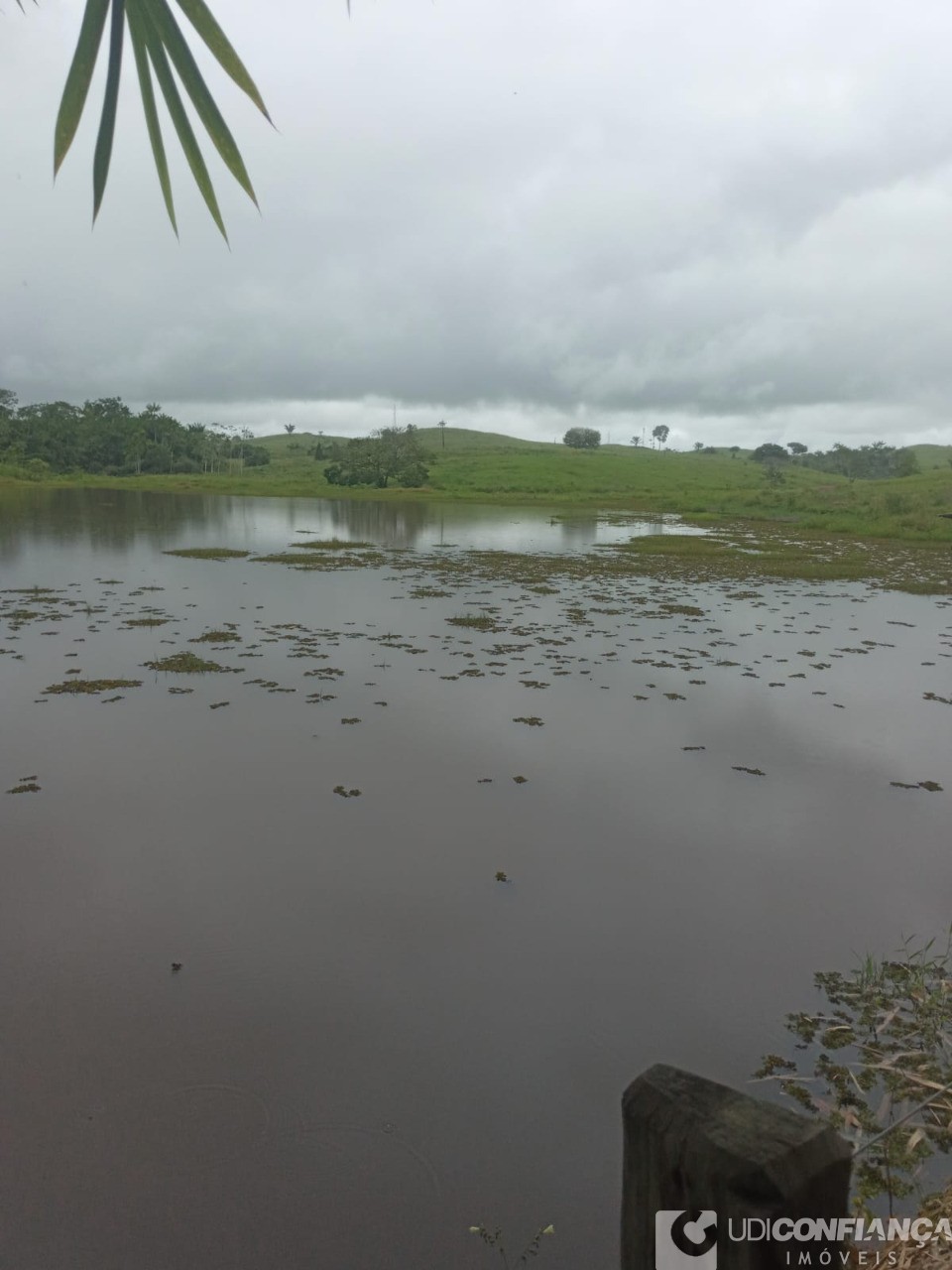 Fazenda - Foto 22
