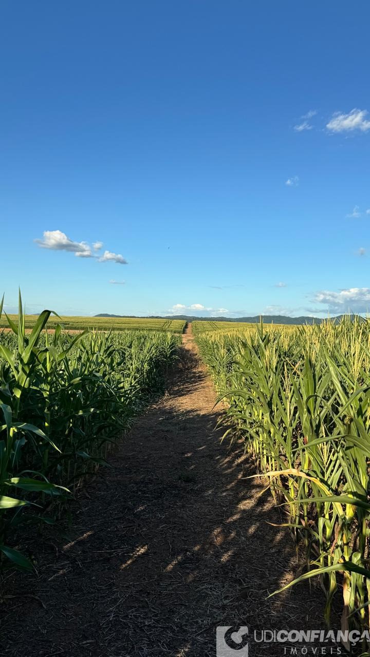 Fazenda - Foto 8
