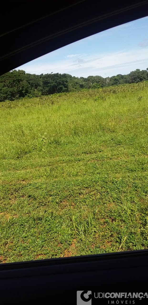 Fazenda - Foto 19