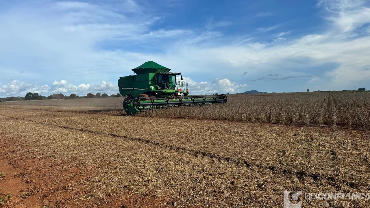 Fazenda - Foto 6