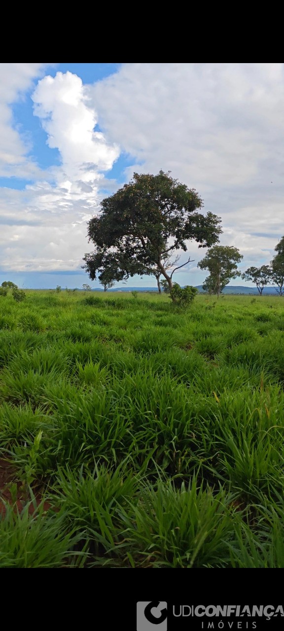 Fazenda - Foto 4