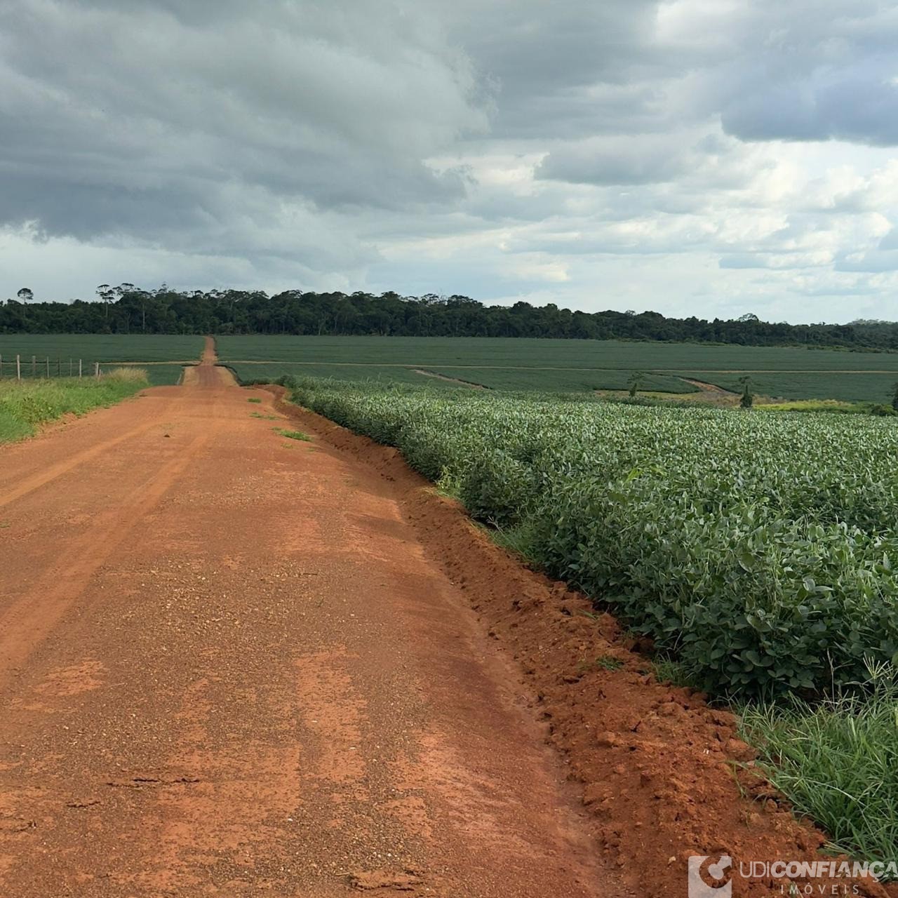 Fazenda - Foto 9