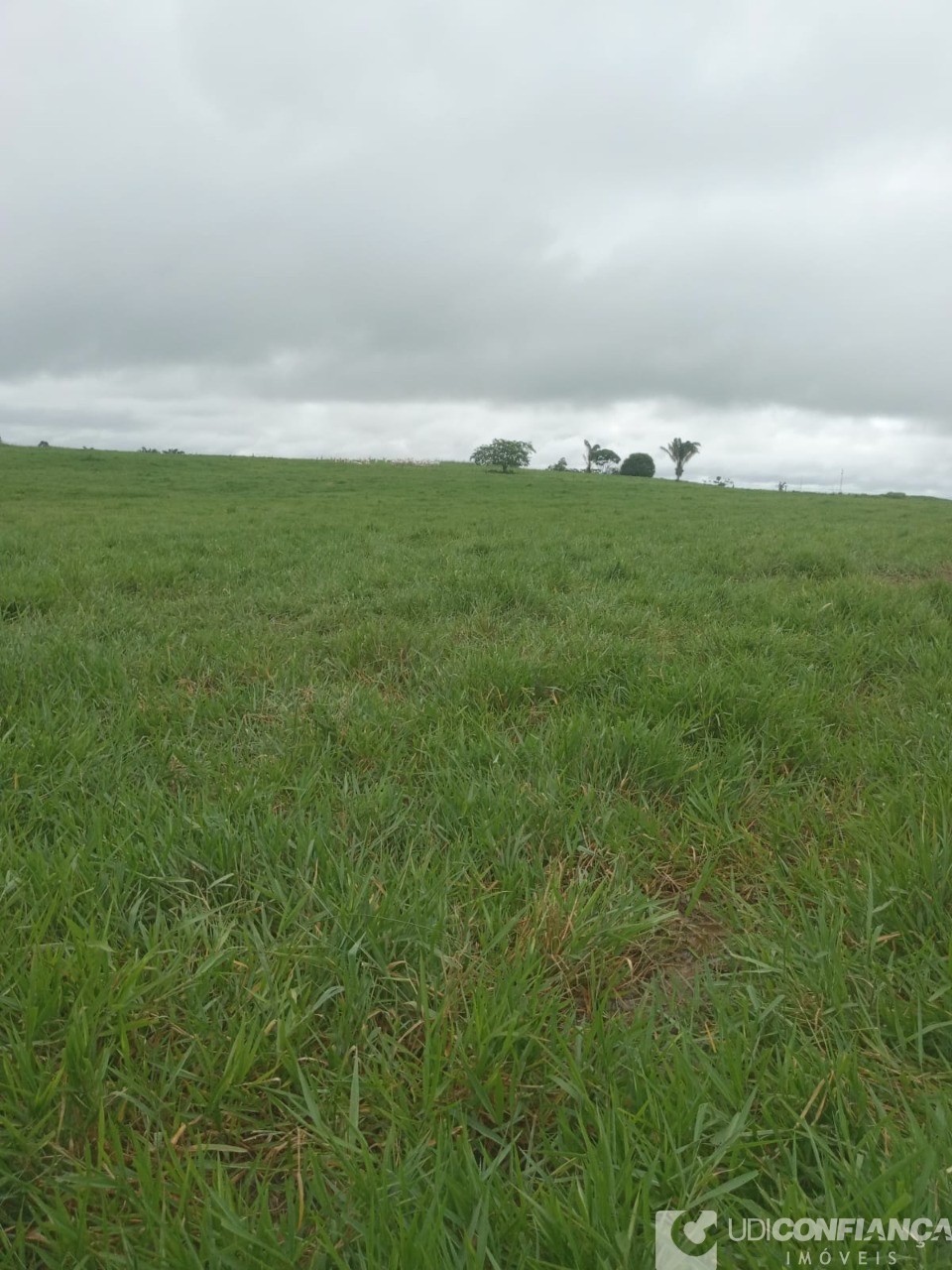 Fazenda - Foto 5