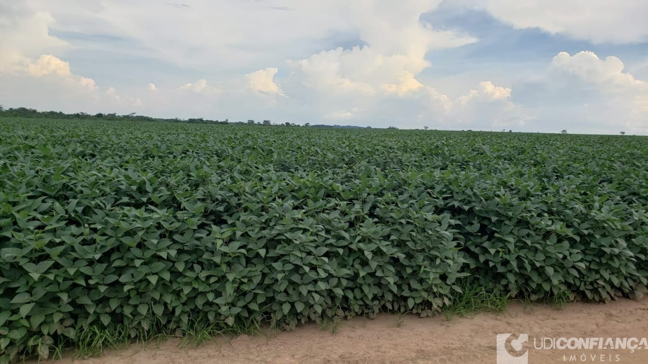 Fazenda - Foto 2