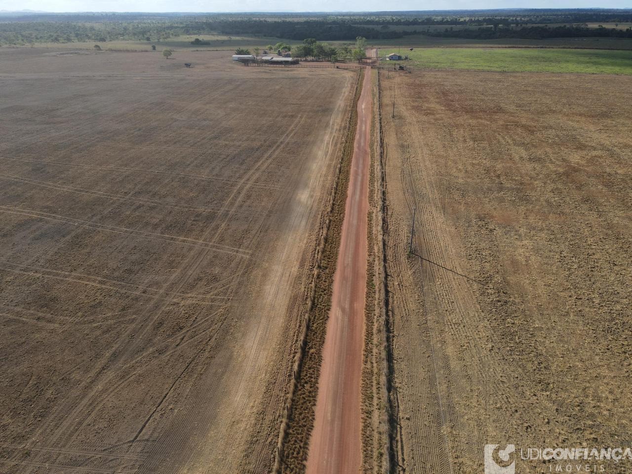 Fazenda - Foto 4