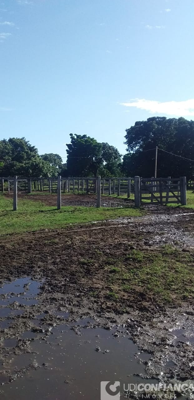 Fazenda - Foto 16