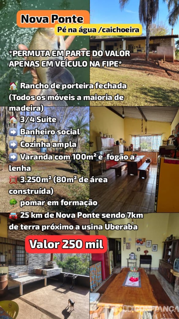 Sítio - Foto 1