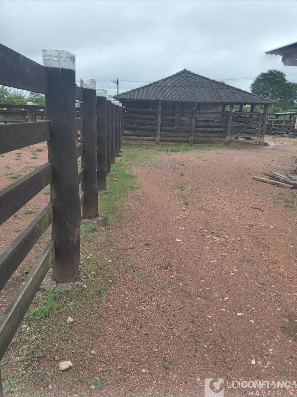 Fazenda - Foto 29