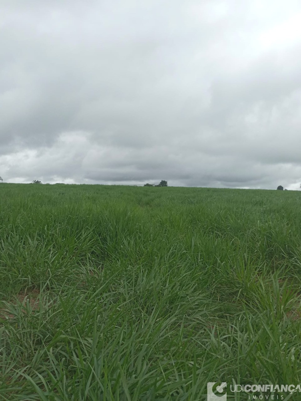 Fazenda - Foto 16