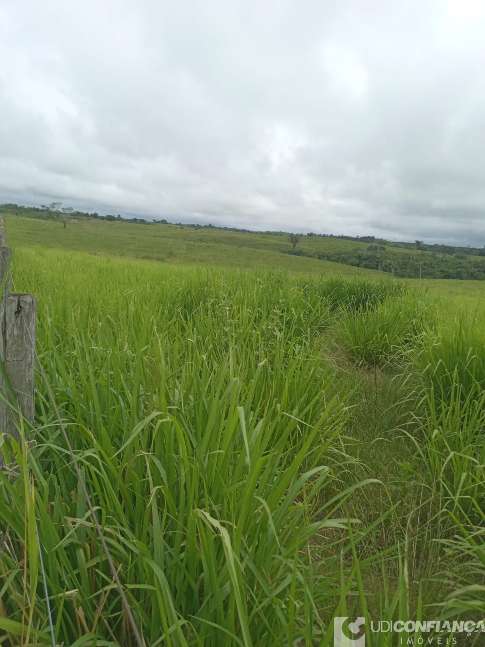 Fazenda - Foto 11