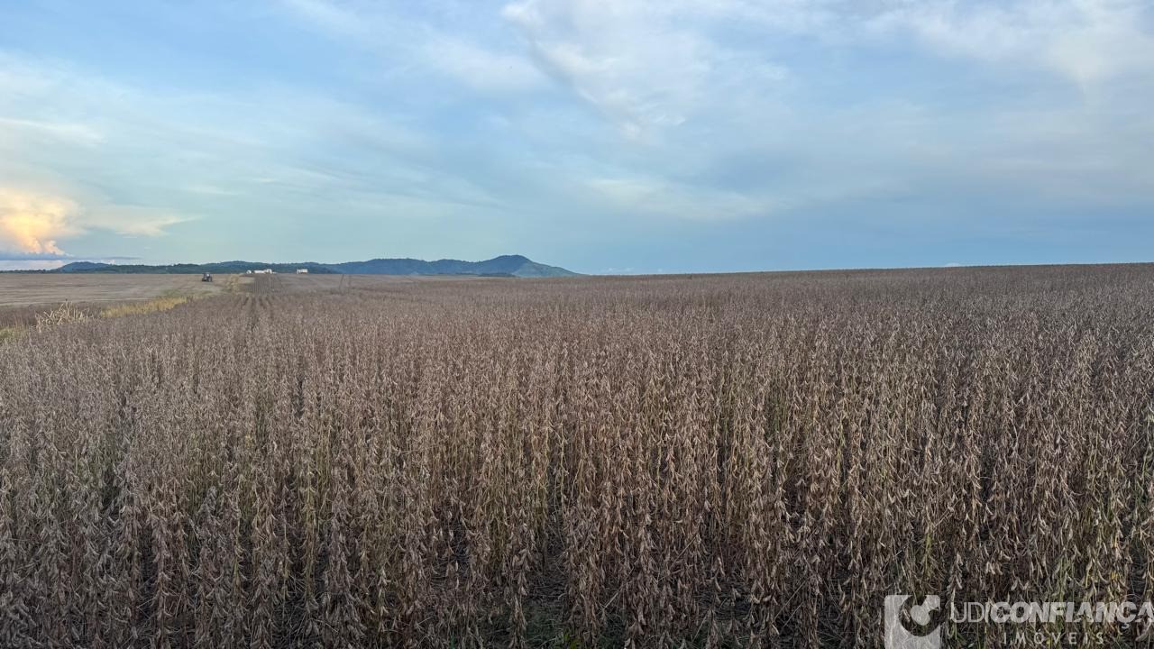 Fazenda - Foto 7