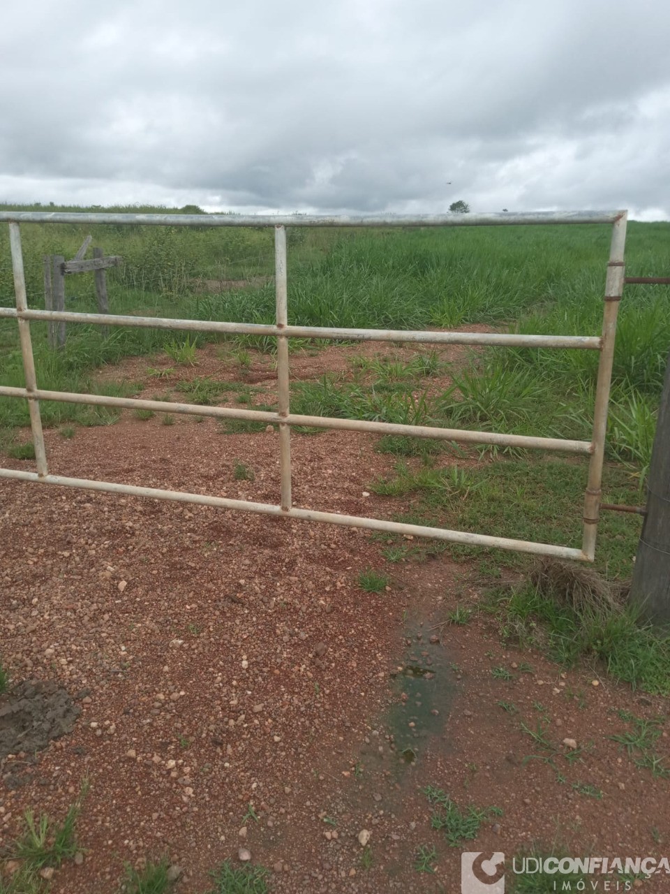 Fazenda - Foto 20
