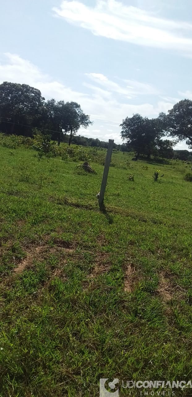 Fazenda - Foto 17