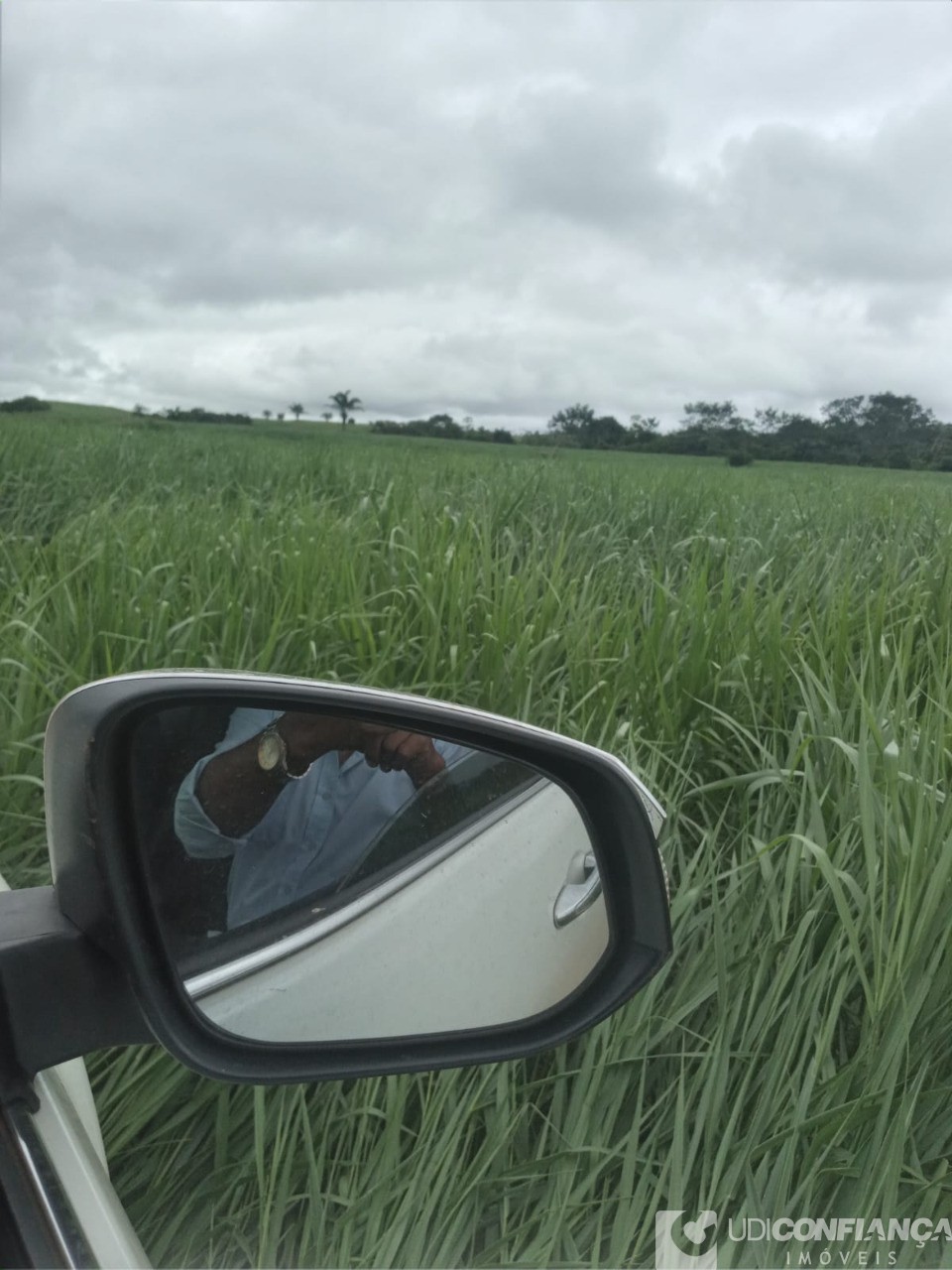 Fazenda - Foto 19