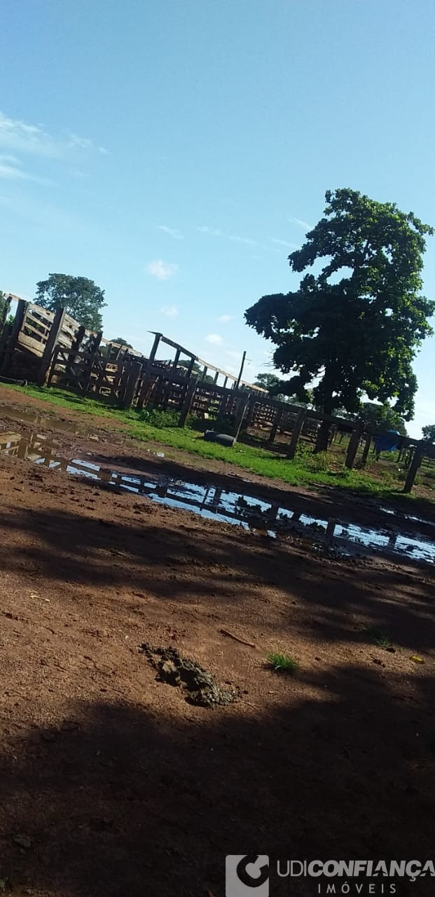 Fazenda - Foto 13