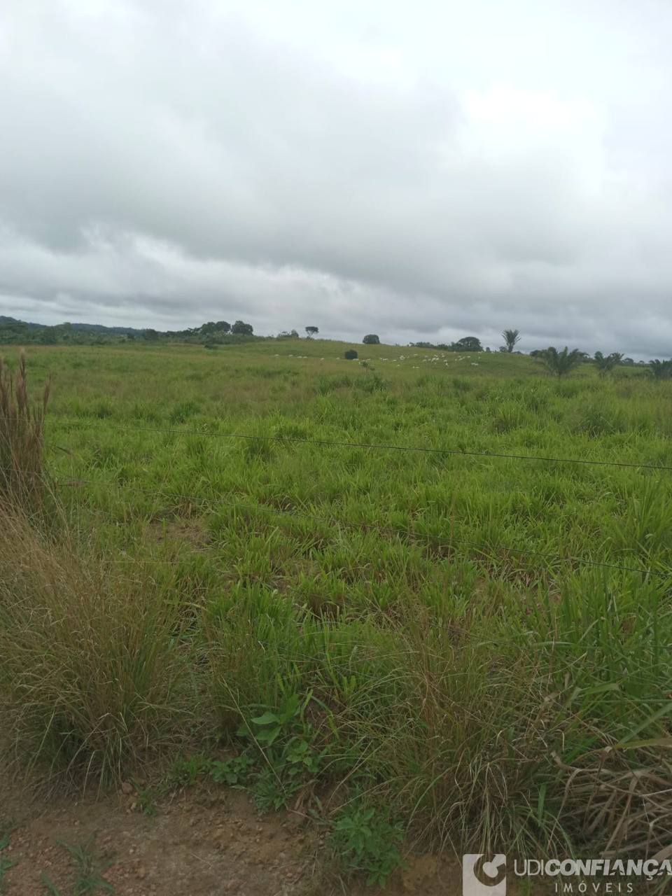 Fazenda - Foto 13