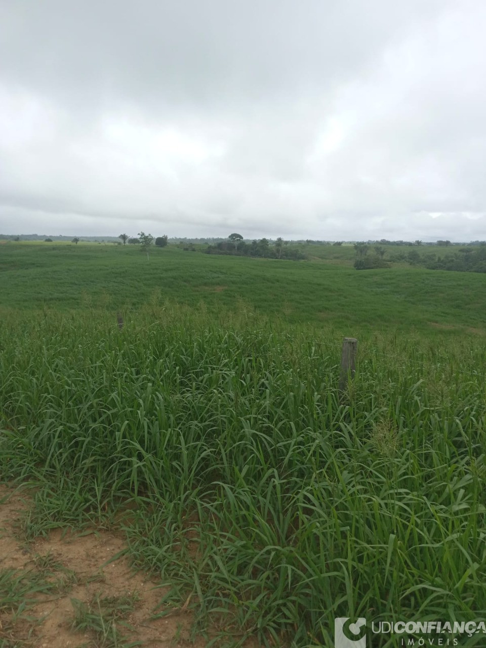 Fazenda - Foto 4