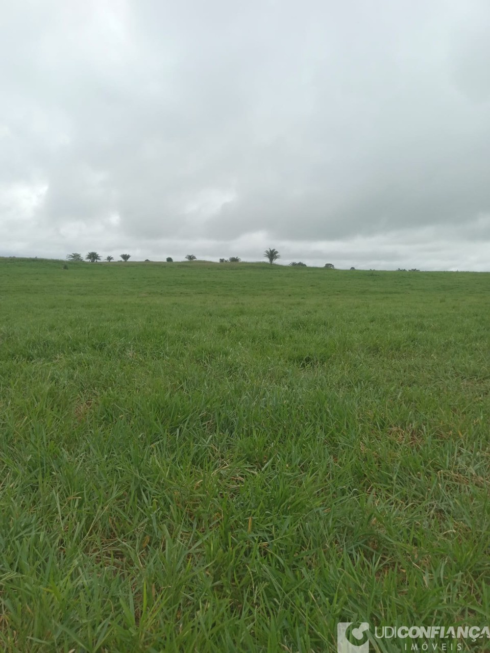 Fazenda - Foto 10