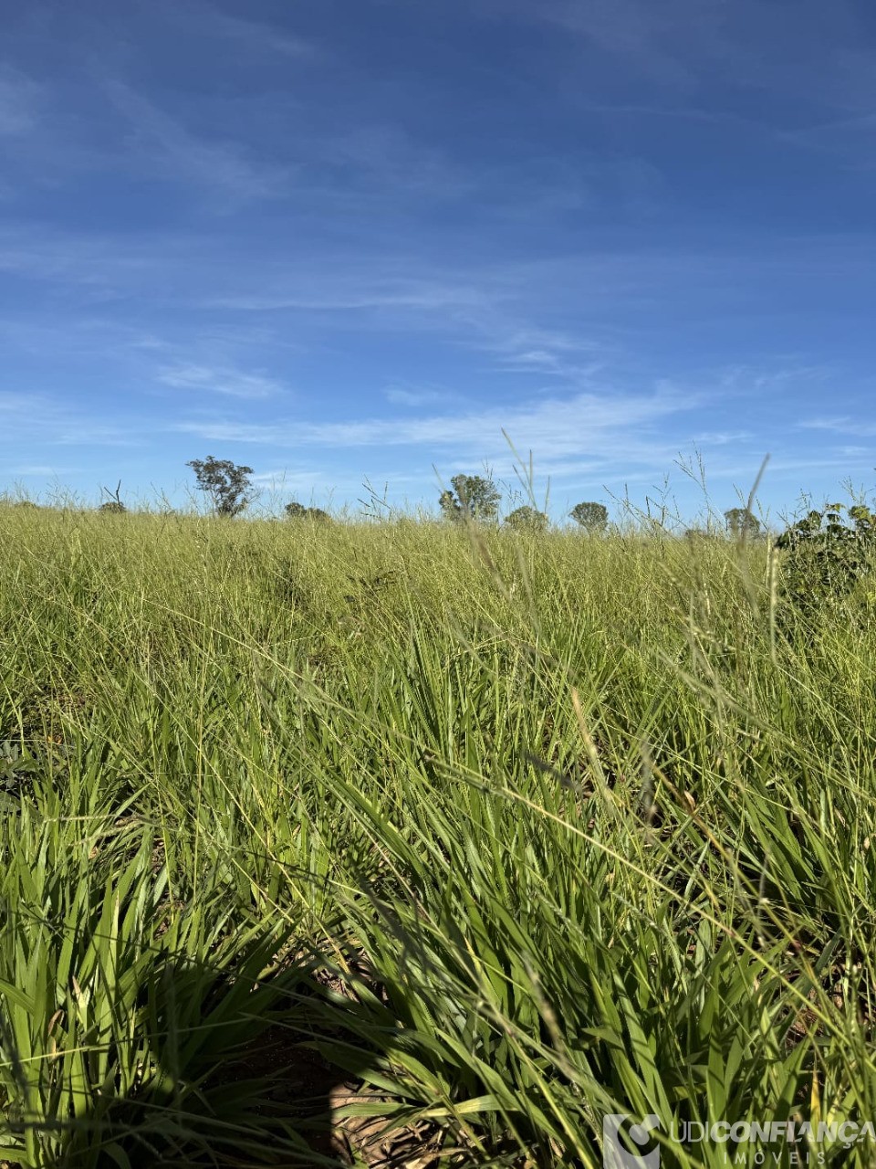 Fazenda - Foto 2