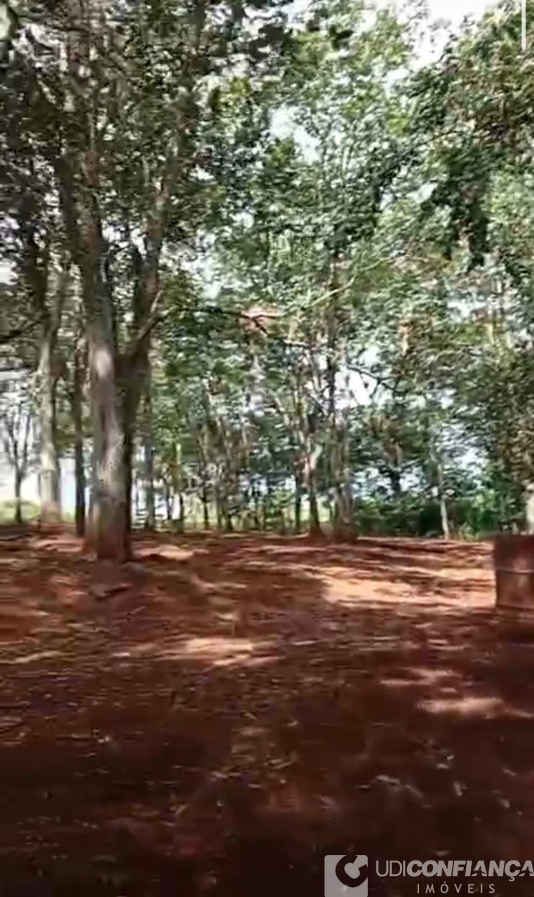 Sítio - Foto 24