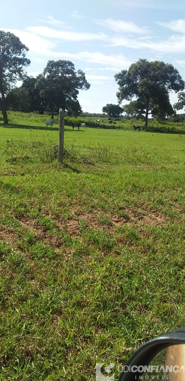 Fazenda - Foto 18