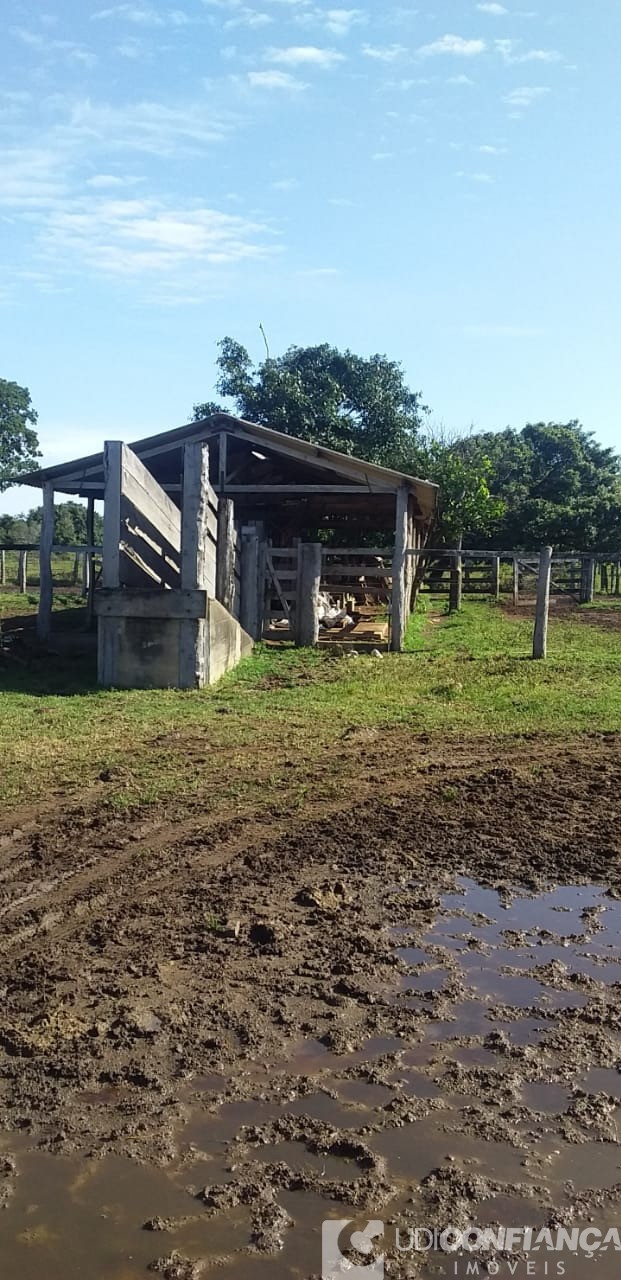 Fazenda - Foto 21