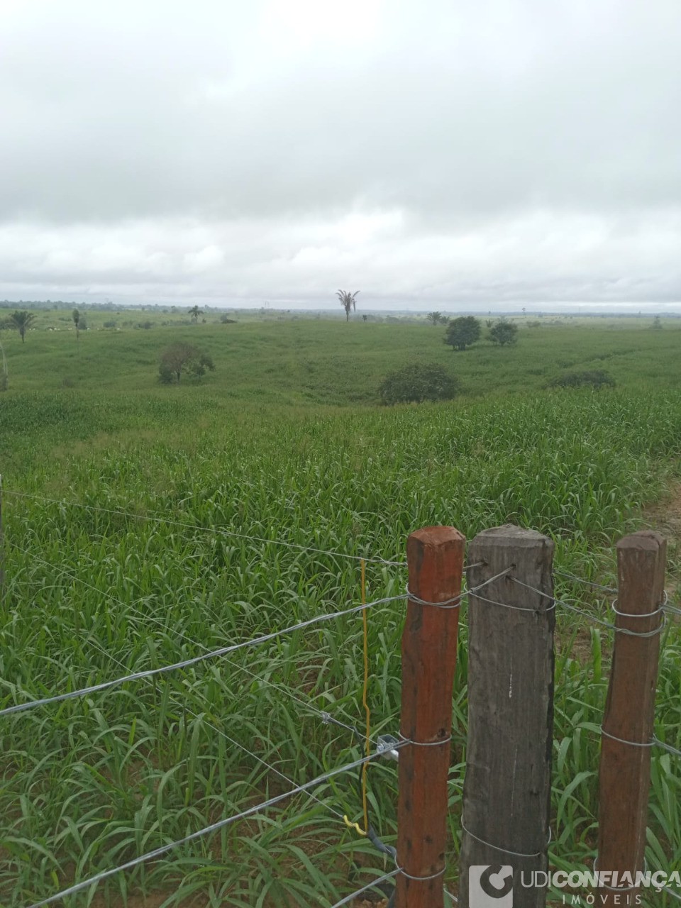 Fazenda - Foto 3