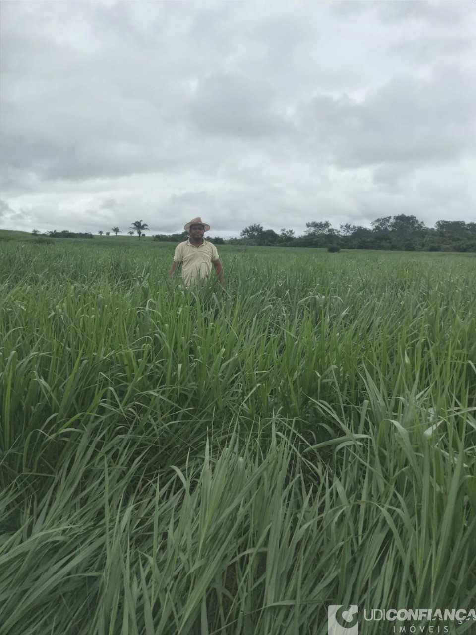 Fazenda - Foto 25
