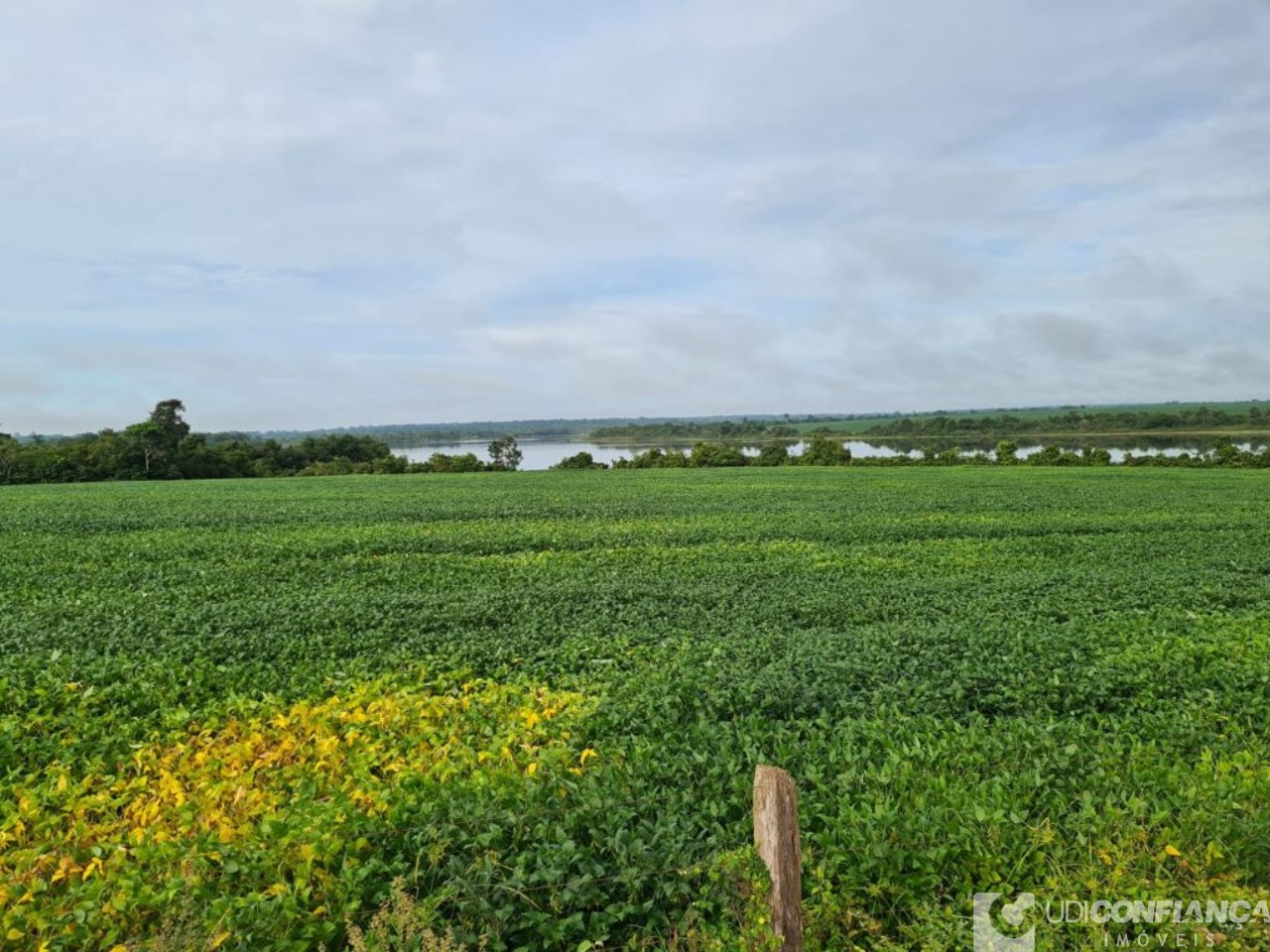 Fazenda - Foto 1