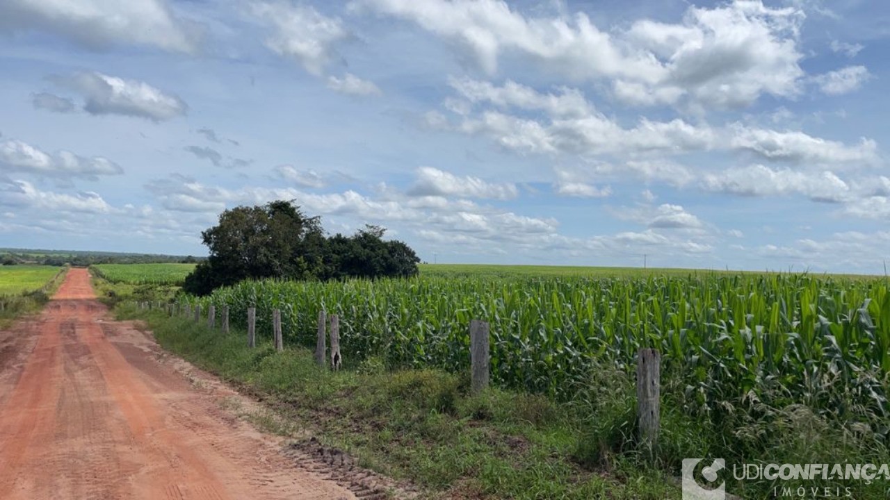 Fazenda - Foto 5