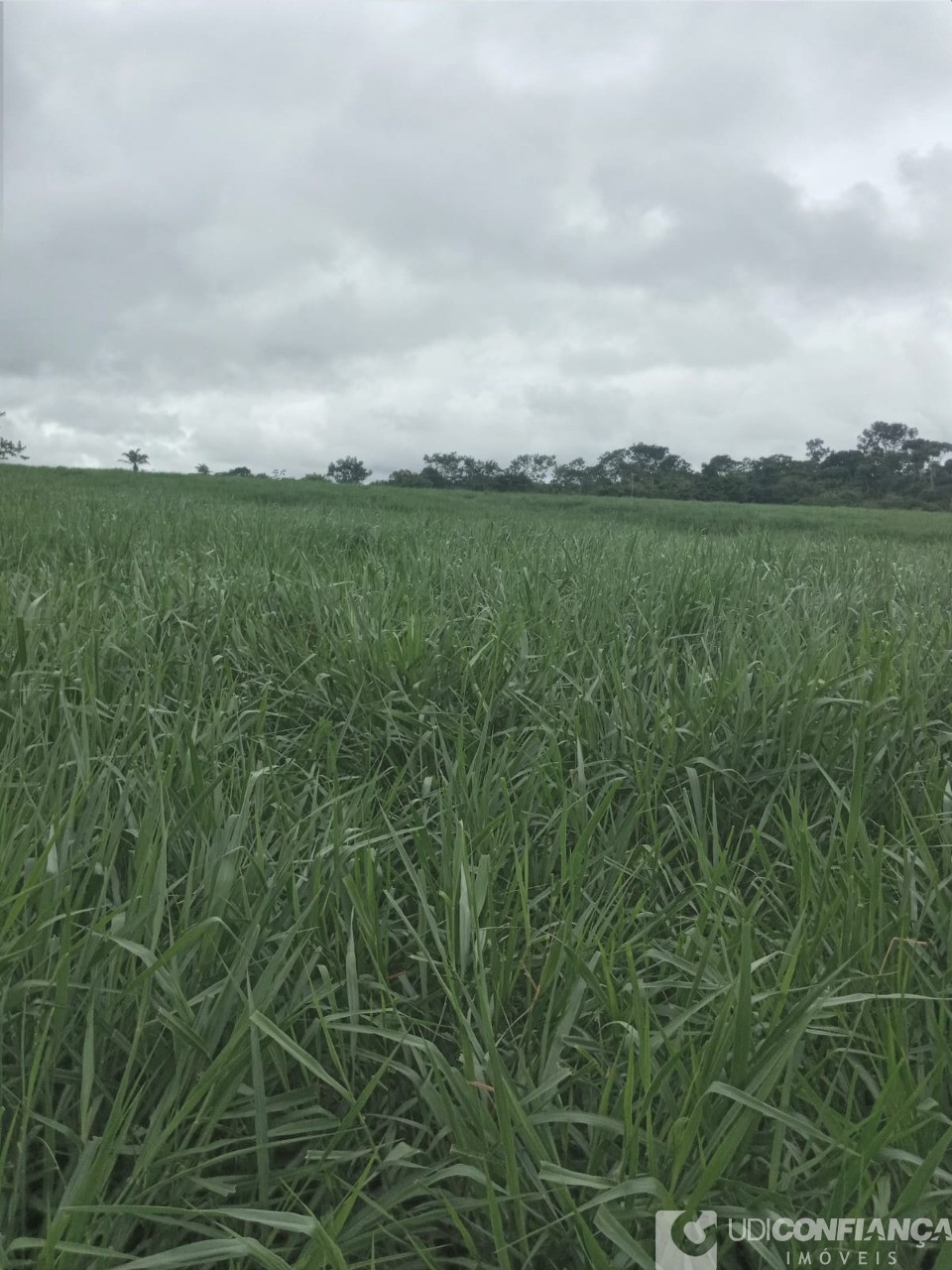 Fazenda - Foto 17