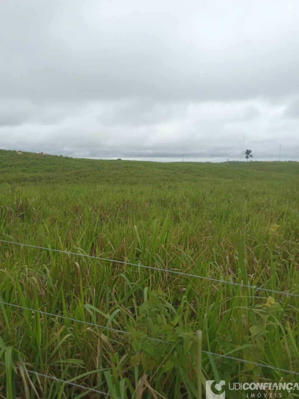 Fazenda - Foto 2