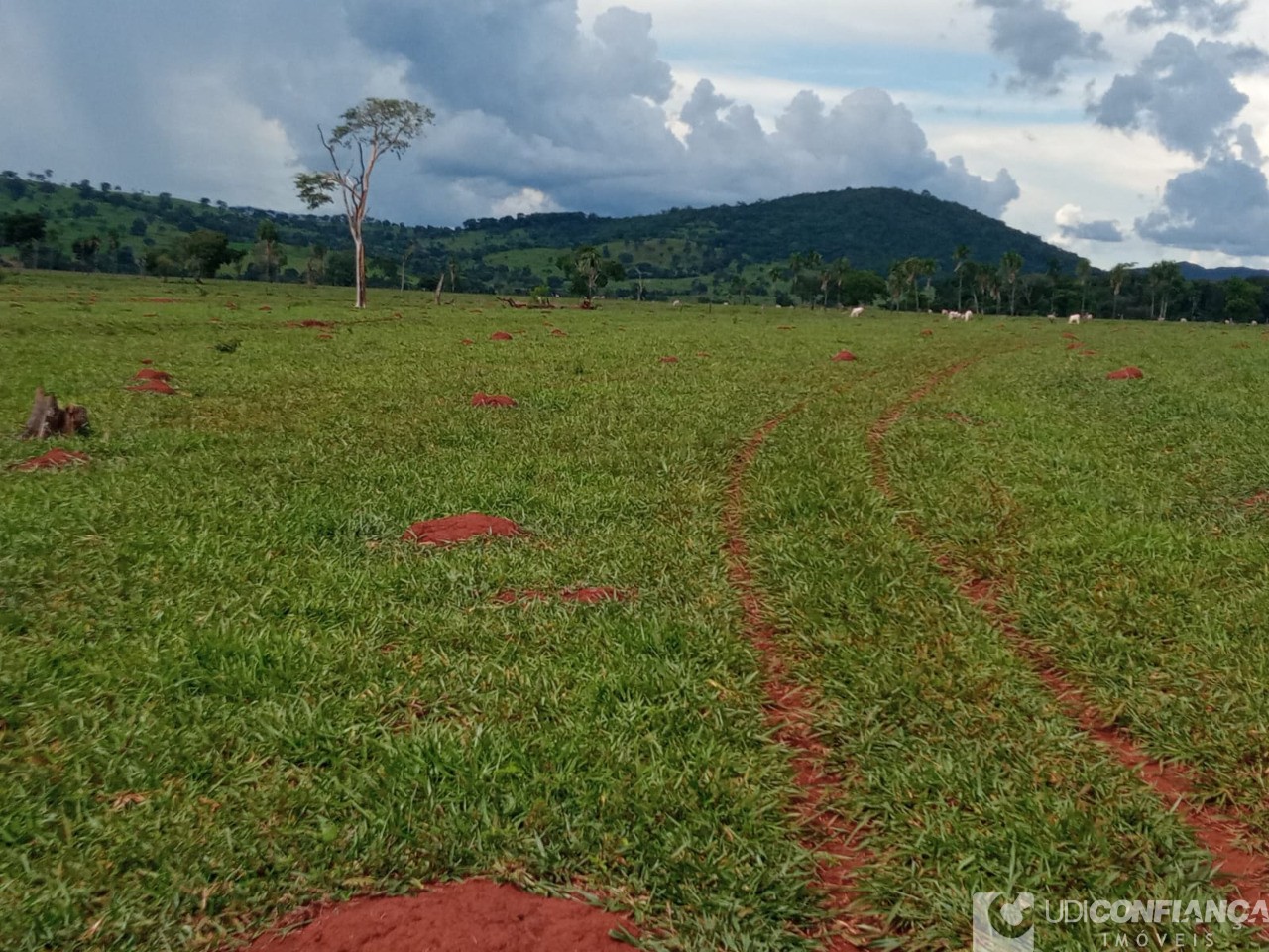 Fazenda - Foto 2