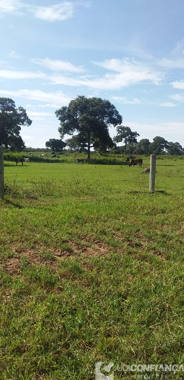 Fazenda - Foto 14