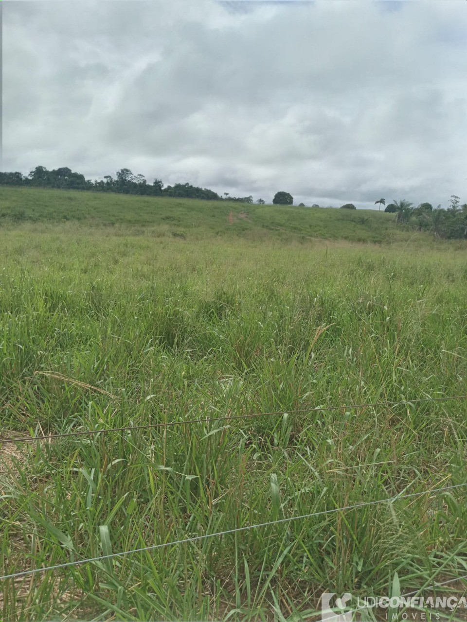 Fazenda - Foto 9