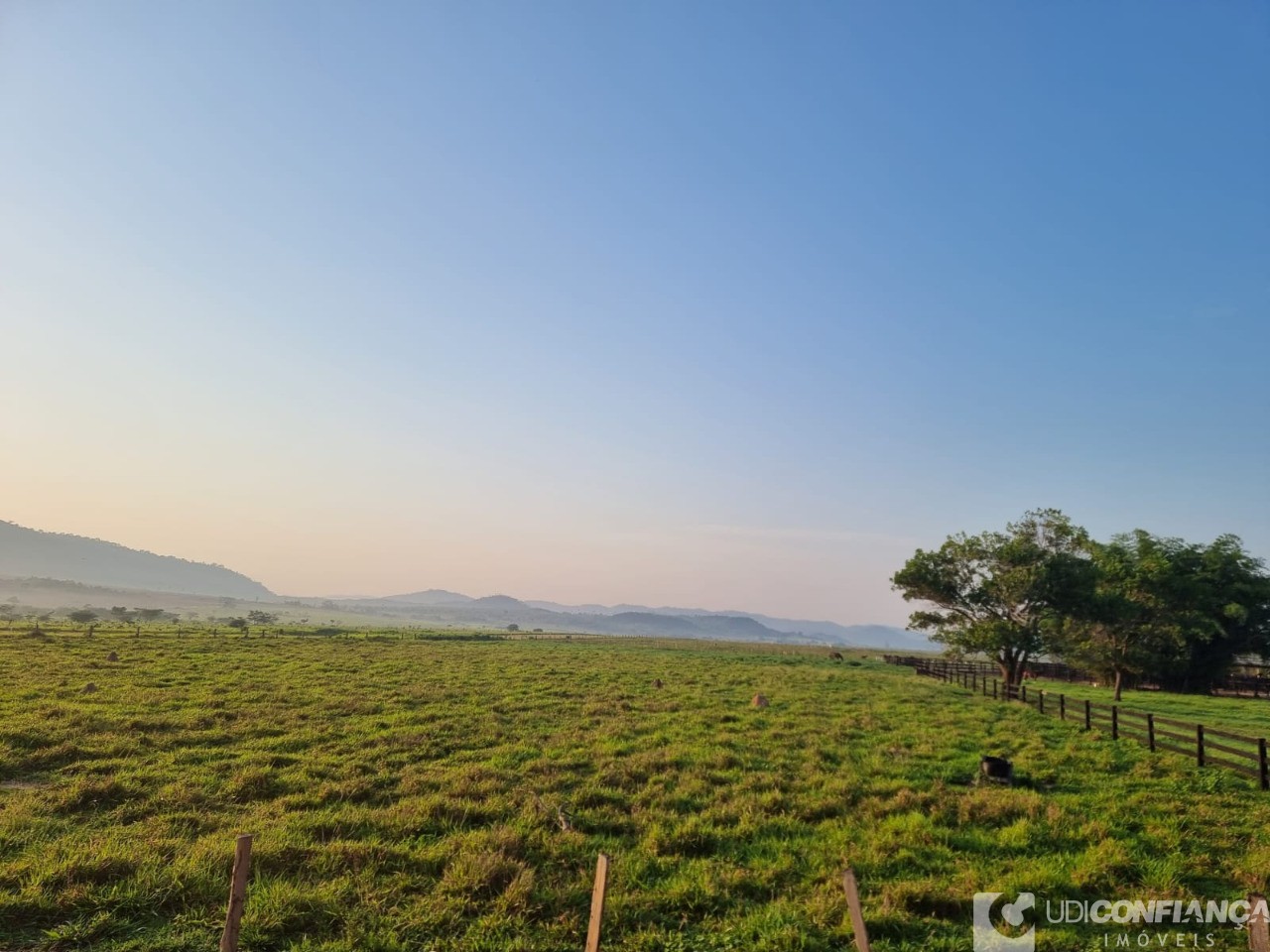 Fazenda - Foto 5
