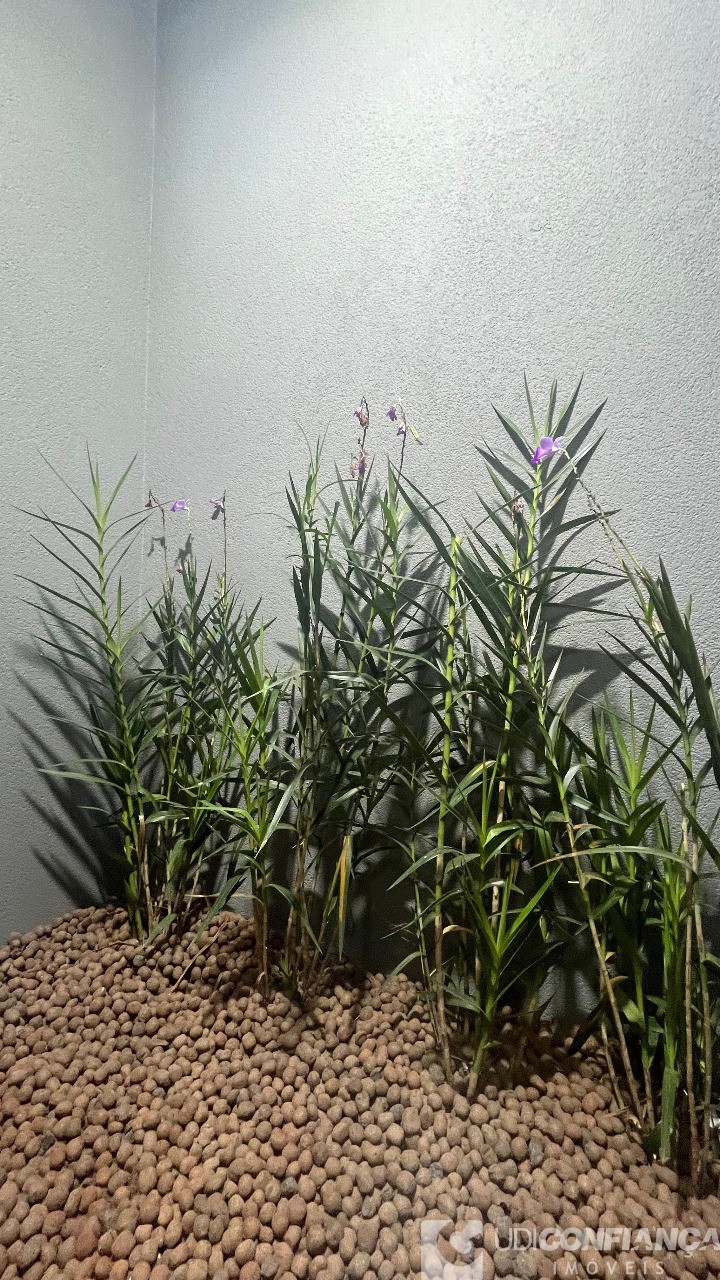 Casa, 3 quartos, 148 m² - Foto 18