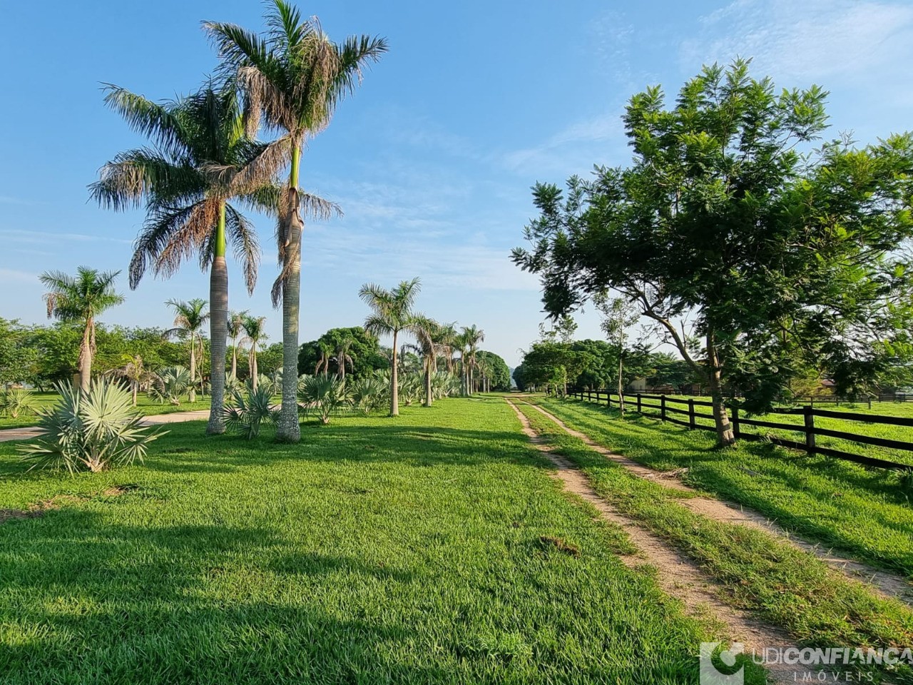 Fazenda - Foto 10