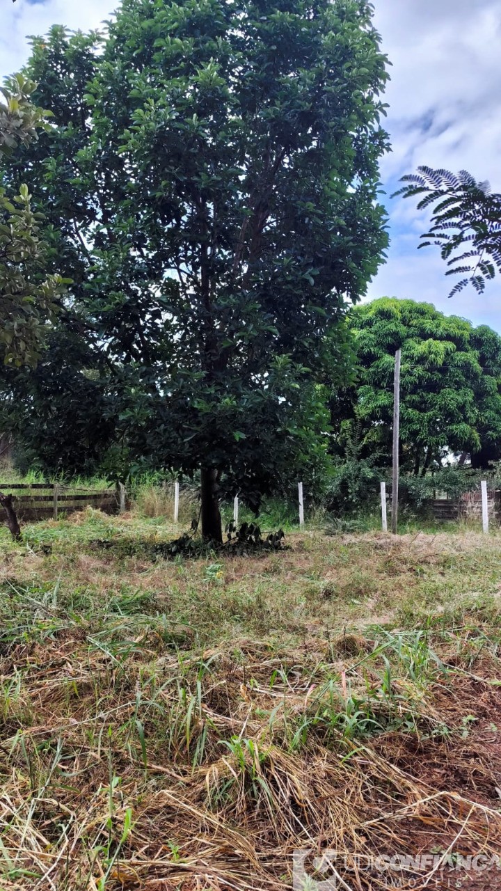 Sítio - Foto 5