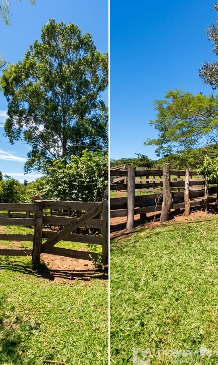 Fazenda - Foto 5