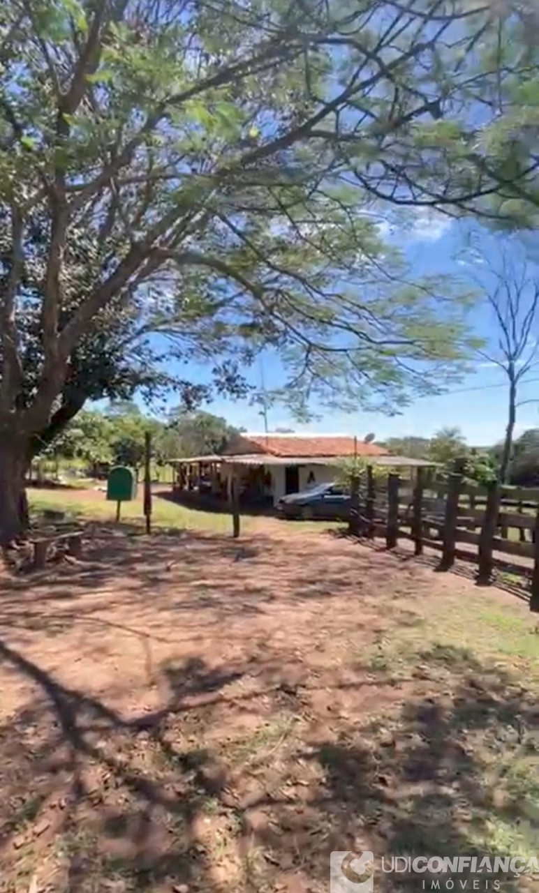 Fazenda - Foto 4