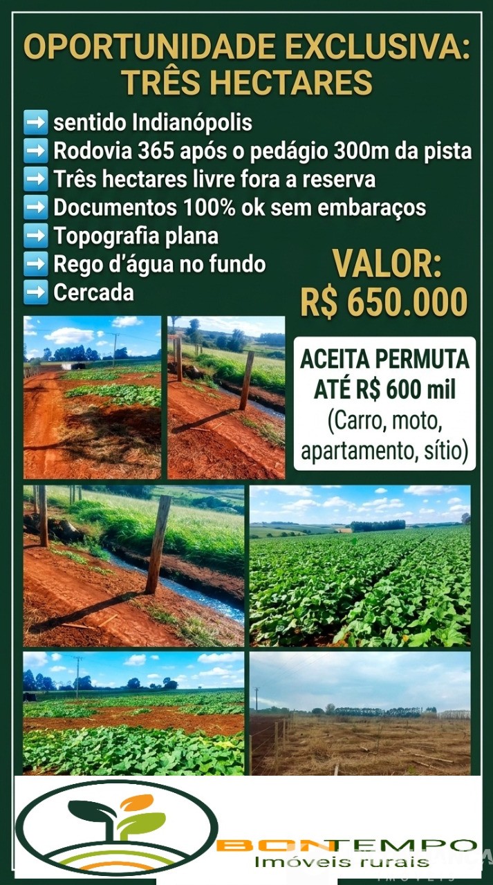 Sítio - Foto 5