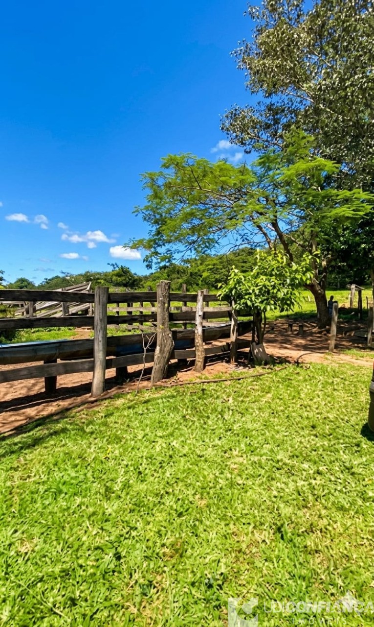 Fazenda - Foto 6