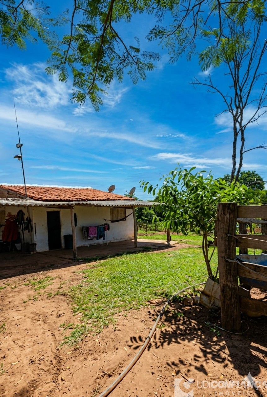 Fazenda - Foto 8